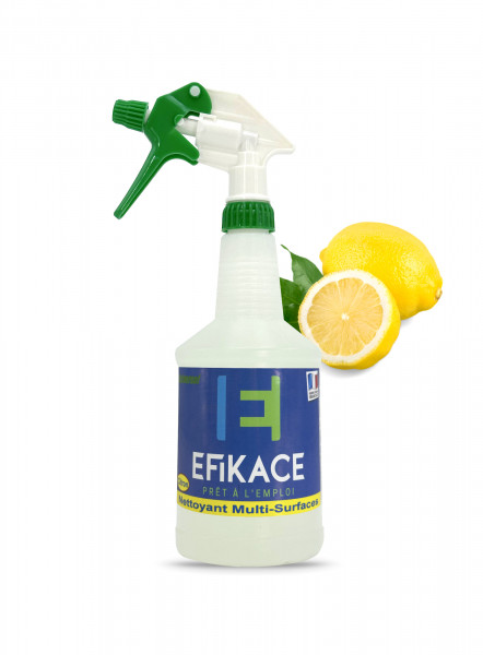 EFIKACE UNIVERSEL PAE NC 16 NETTOYANT MULTI-SURFACES CITRON 750ML (6U)