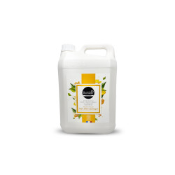 5L